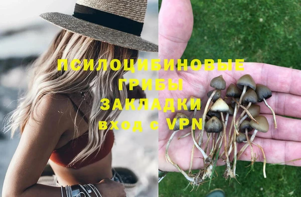 apvp Нефтекумск
