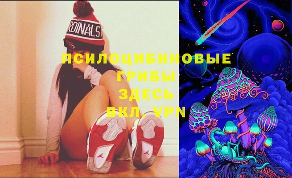 мдпв Бикин