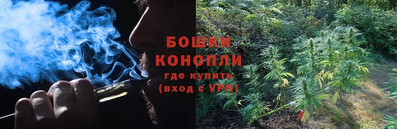 Конопля индика  Камызяк 